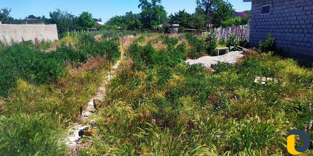 Профессиональный покос травы, газонокосилка