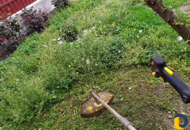 Профессиональный покос травы, газонокосилка