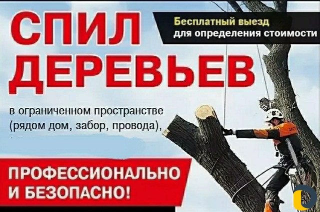 Профиссиональный Распил и Вырубка деревьев