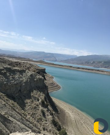 Программист