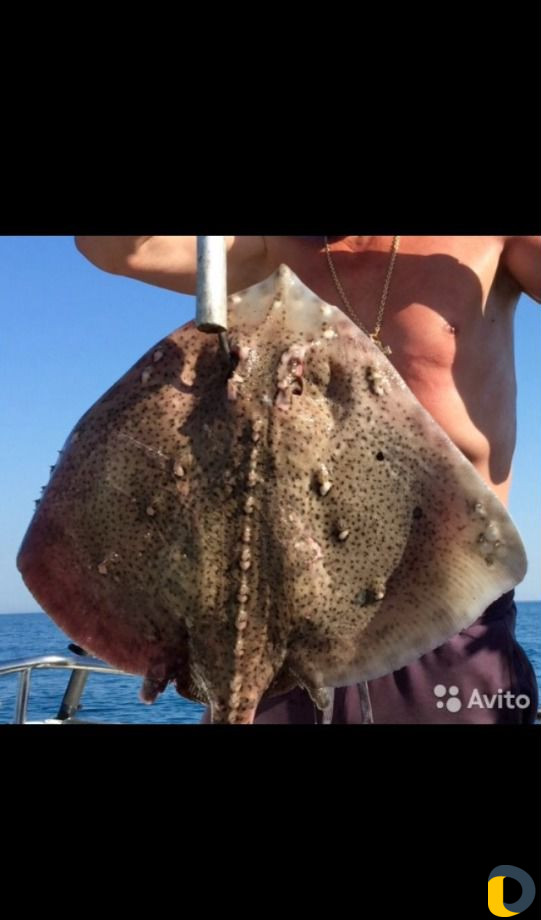 Прогулка-Рыбалка-Вип Рыбалка