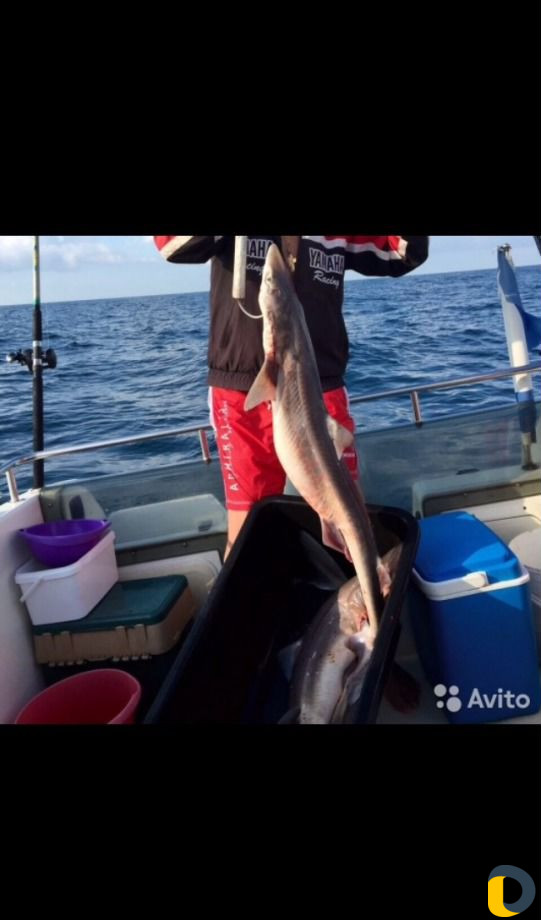 Прогулка-Рыбалка-Вип Рыбалка