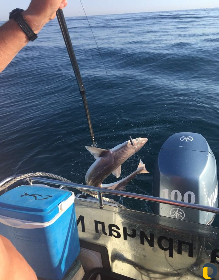 Прогулка-Рыбалка-Вип Рыбалка