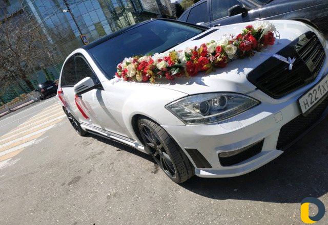 Прокат авто 221/222