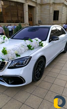 Прокат авто 221/222