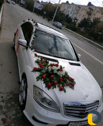 Прокат авто 221