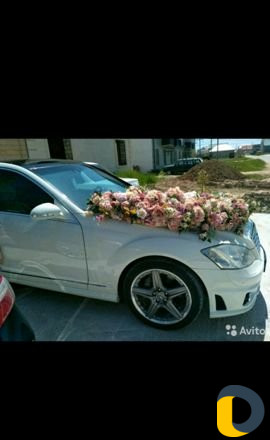 Прокат Авто 221