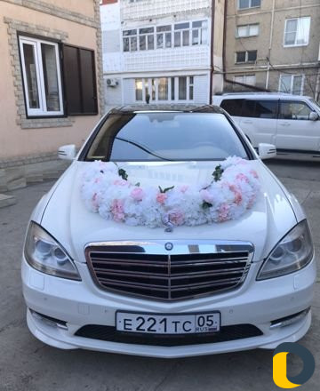 Прокат Авто бизнес класса