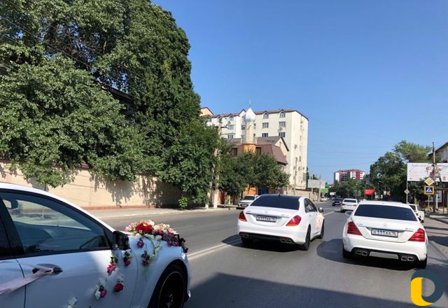 Прокат Авто на Свадьбы 222/221/панамера