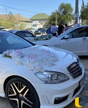 Прокат Авто