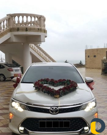 Прокат Авто