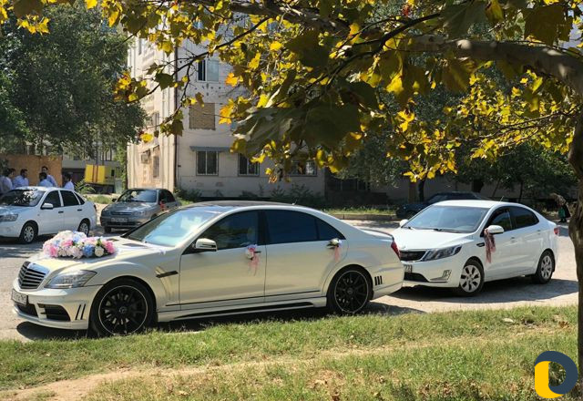 Прокат автомобилей