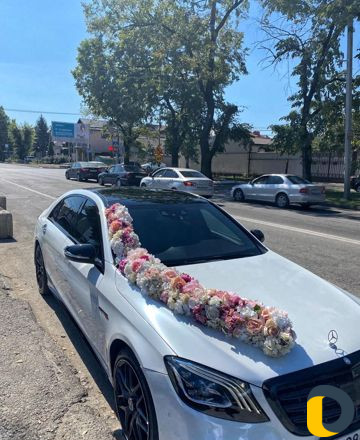 Прокат автомобиля