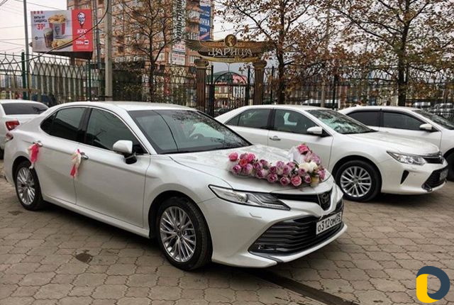 Прокат Чёрного 222, 221, Камри, Панама