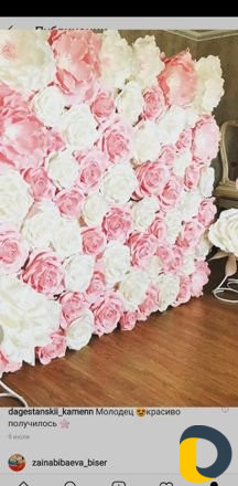 Прокат фотозоны