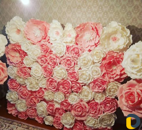 Прокат фотозоны