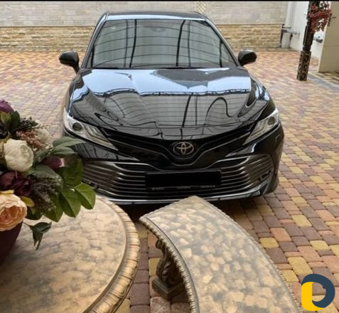 Прокат или Личный водитель на своём авто