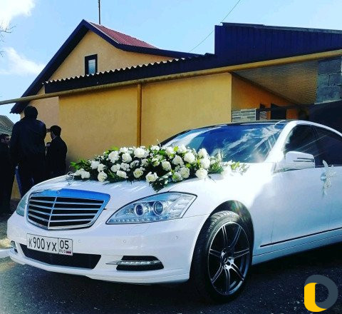 Прокат mercedes 221 222