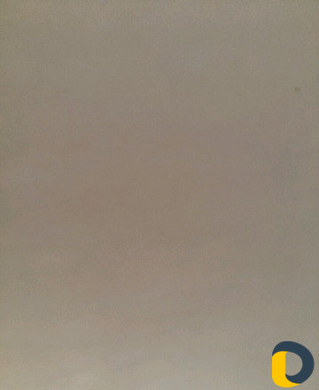 Птица
