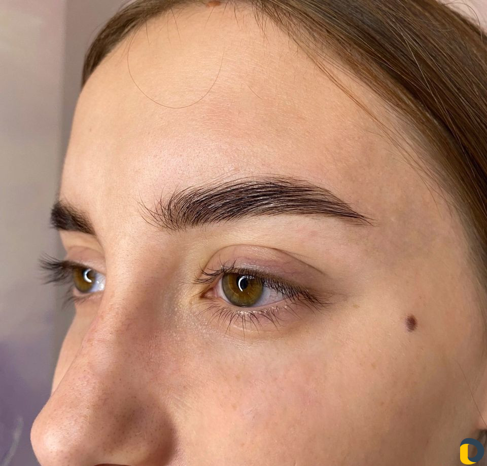 Работа мастер бровист