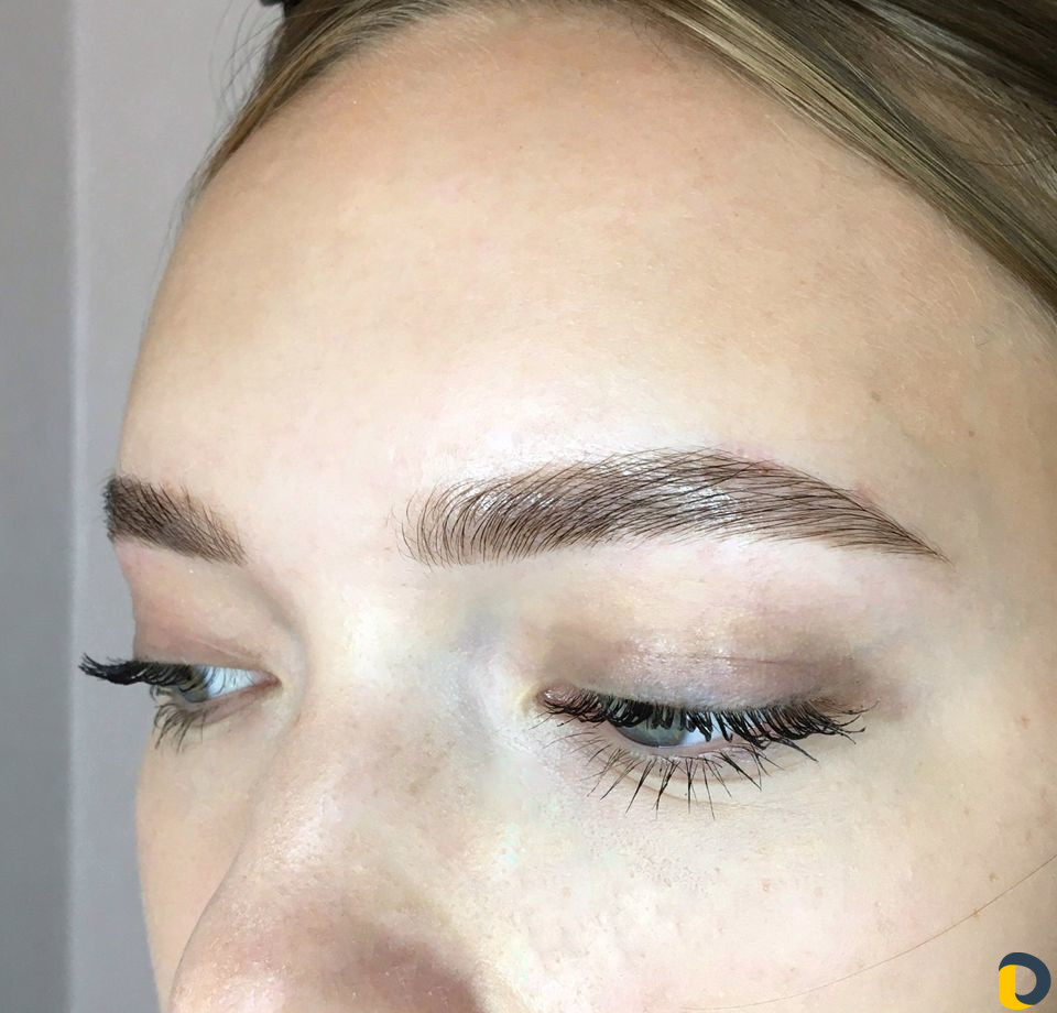 Работа мастер бровист