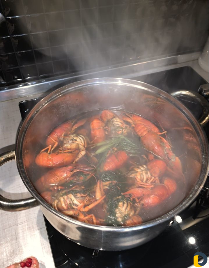 Раки
