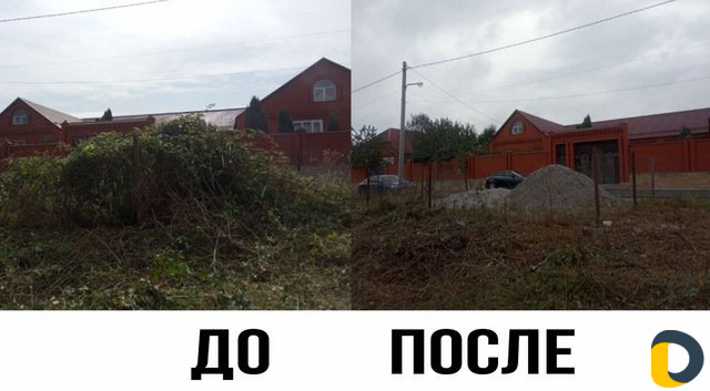 Расчистка участка