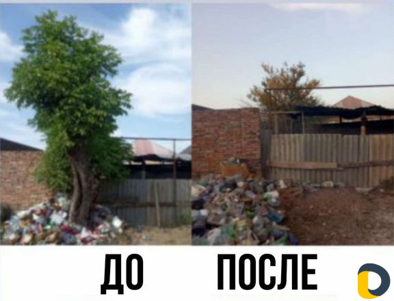 Расчистка участка