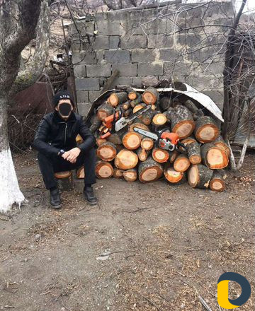 Расчистка участка