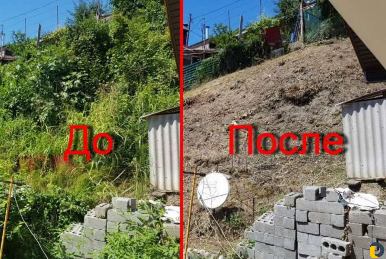 Расчистка Участков, спил деревьев Сочи, Адлер