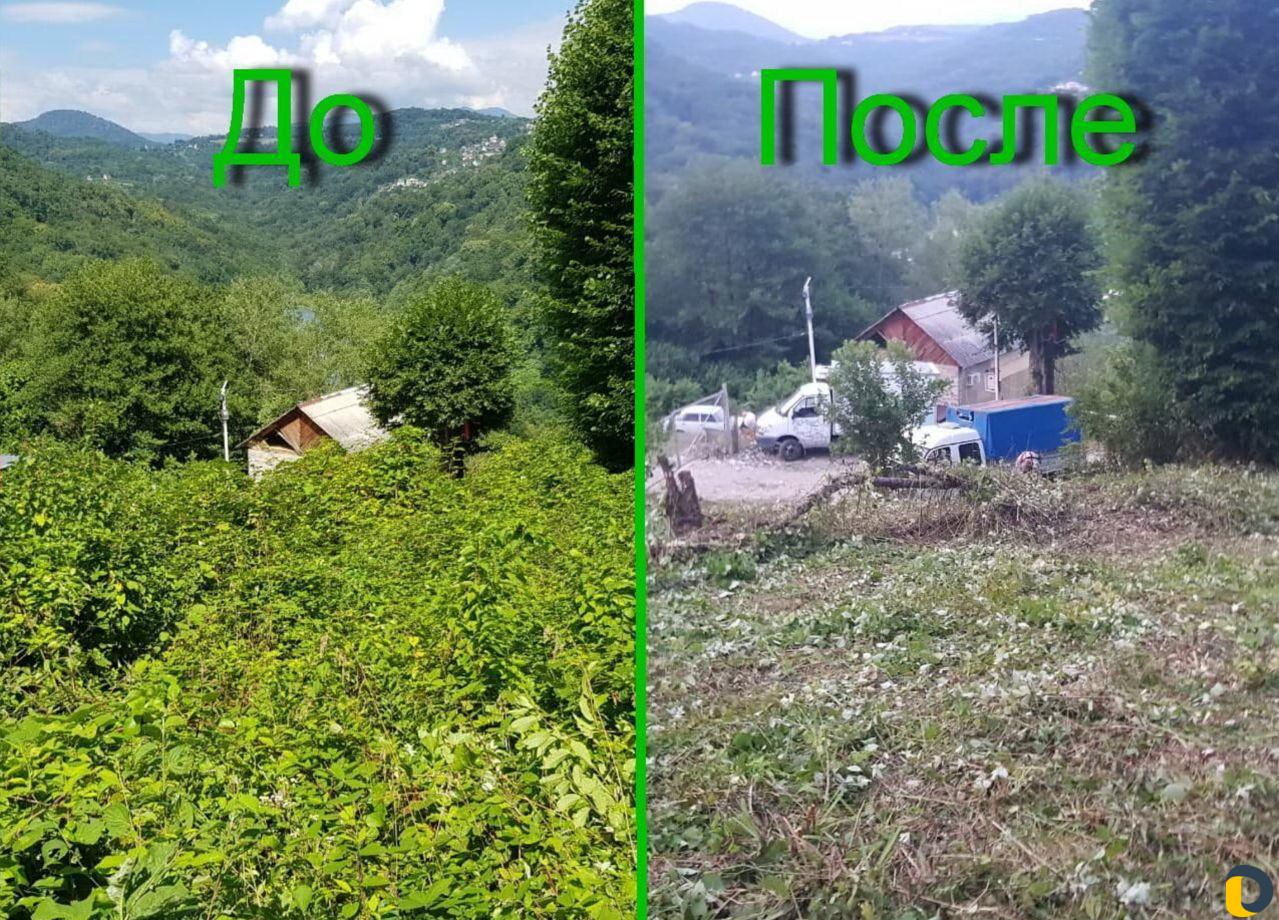 Расчистка Участков, спил деревьев Сочи, Адлер