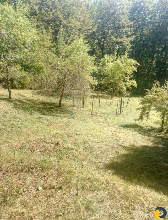 Расчистка Участков, спил деревьев Сочи, Адлер