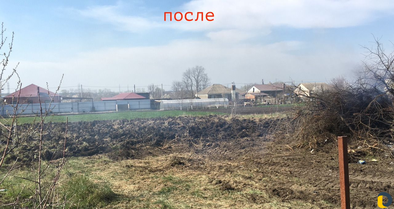 Расчистка участков, спил деревьев, вывоз мусора