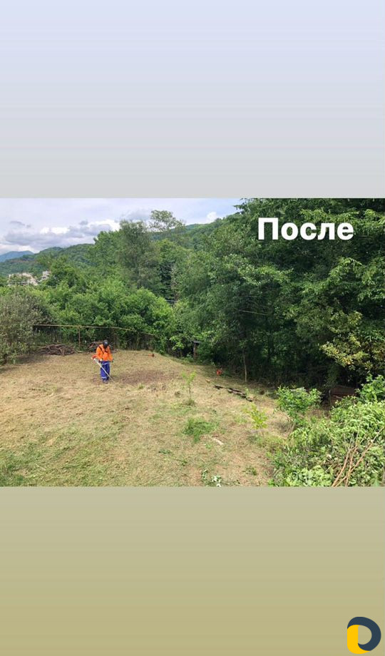 Расчистка участков