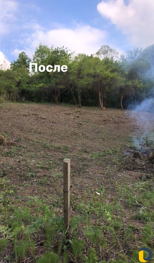 Расчистка участков