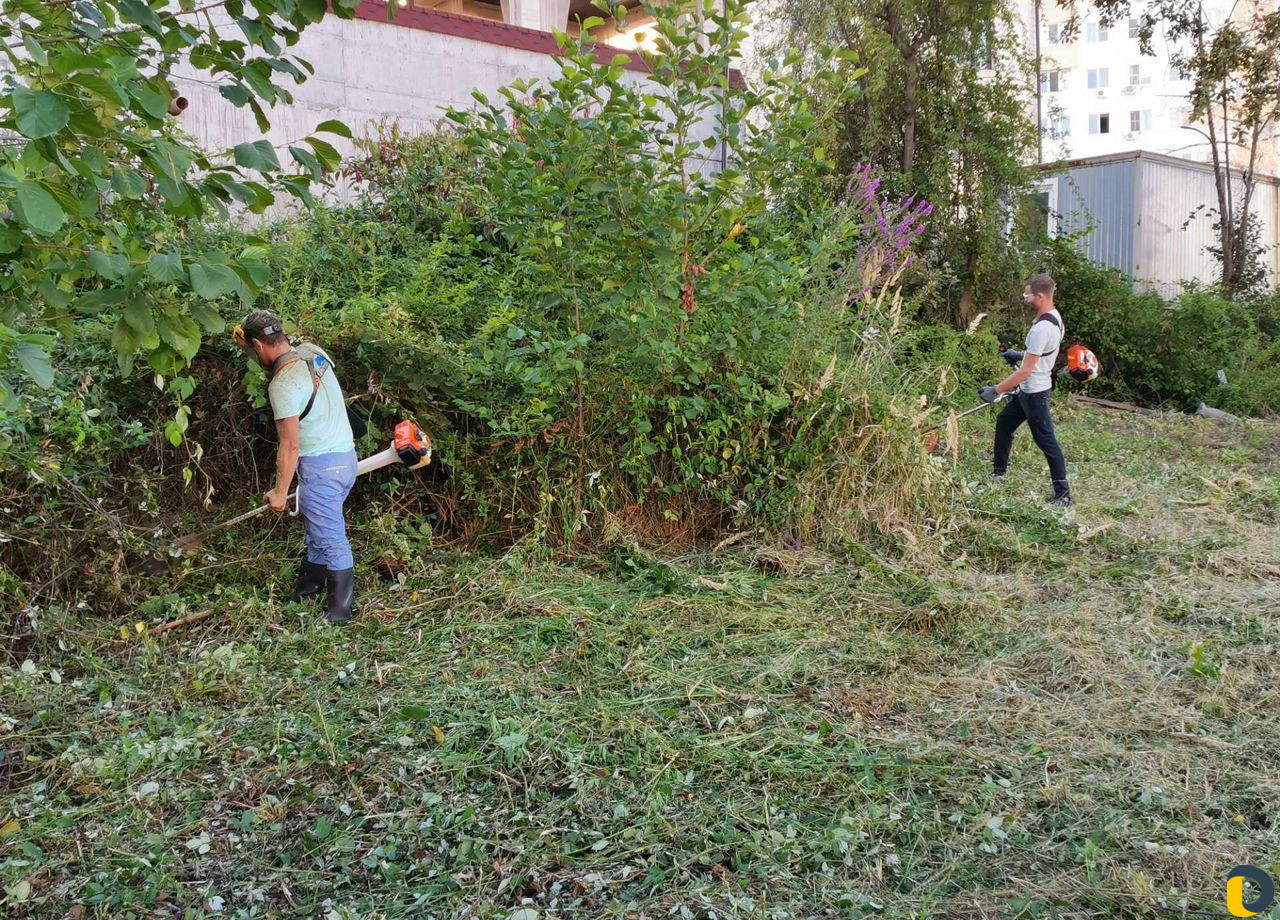 Расчистка участков