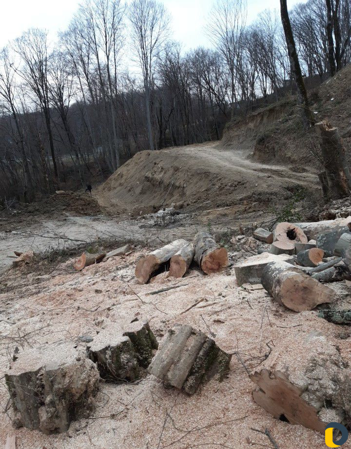 Расчистка участов спил деревьев