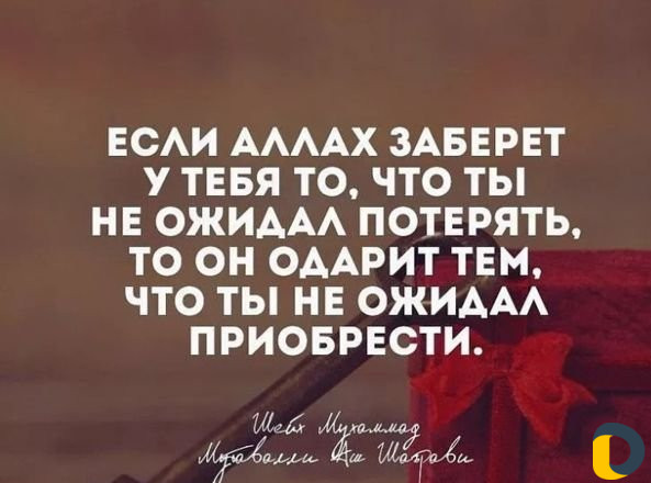Распил деревьев