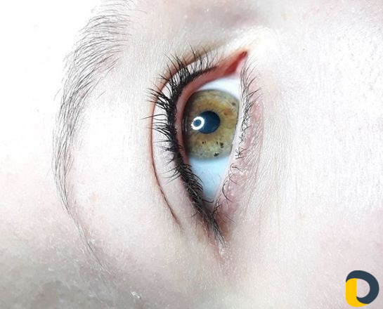 Растушевка бровей, губ, век