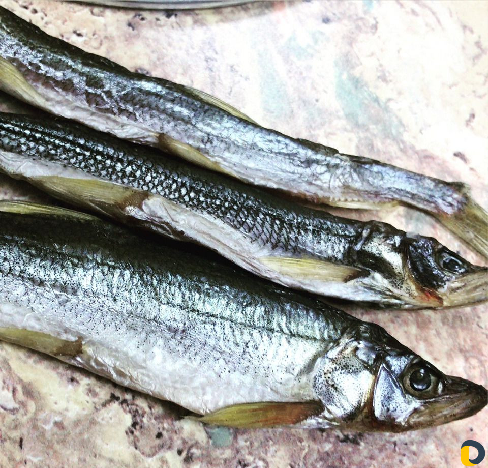 Разделка, засолка, вялка, копчение рыбы, мяса, мор