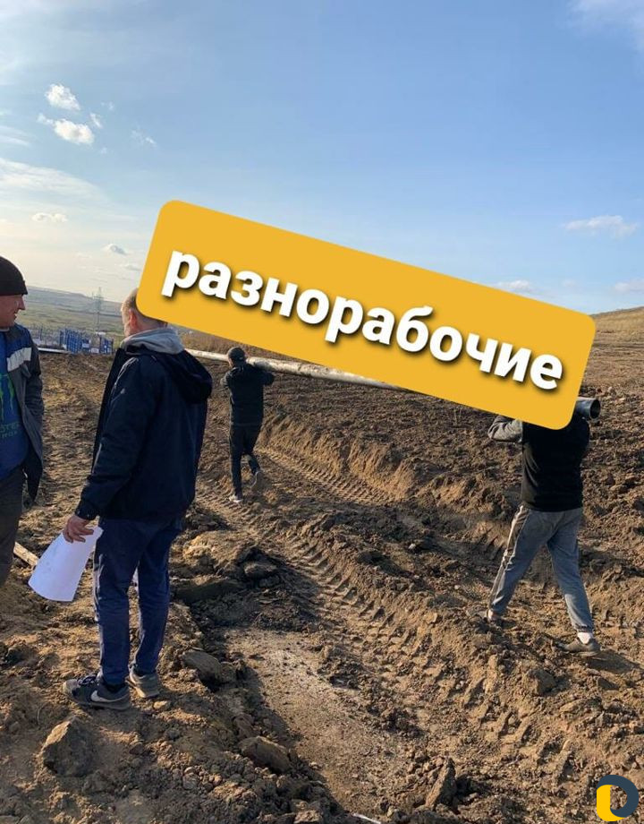 Разнорабочие