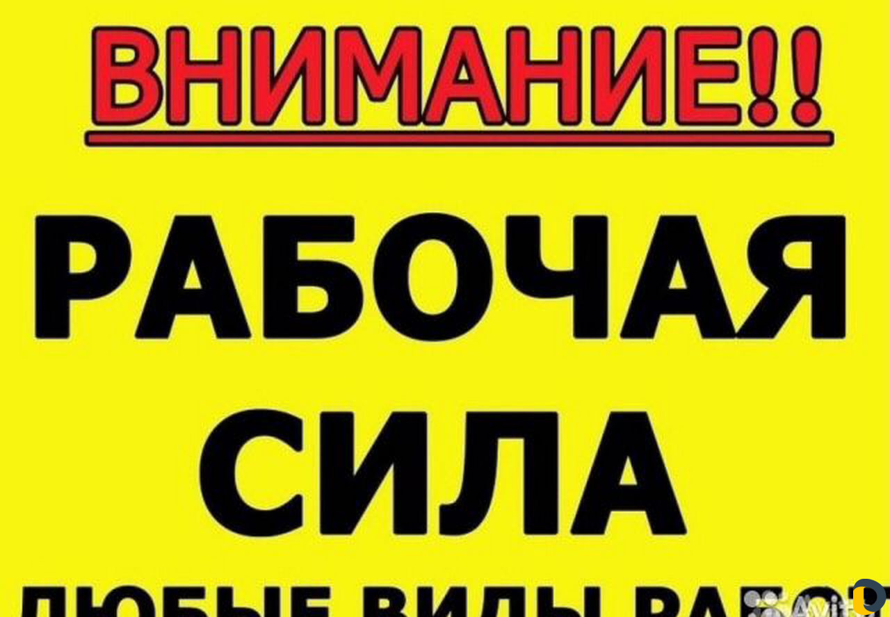 Разнорабочий \ грузчики \ вывоз мусора