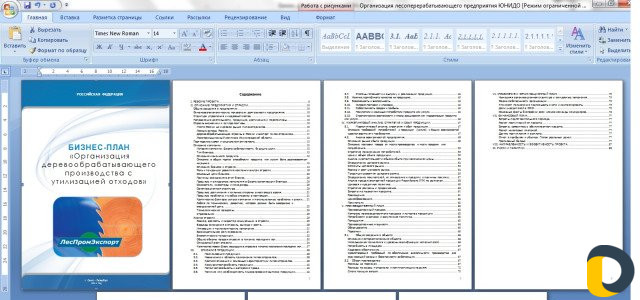 Разработка бизнес плана любой степени сложности
