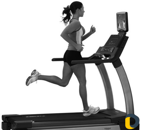 Ремонт беговой дорожки в Махачкале с гарантией