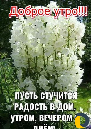 Ремонт и строительство
