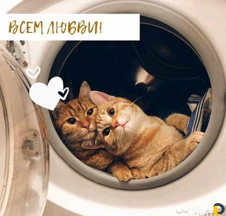 Ремонт стиральных машин и холодильников на дому