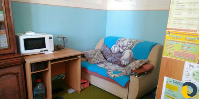 Репетитор начальных классов. Английский язык включ