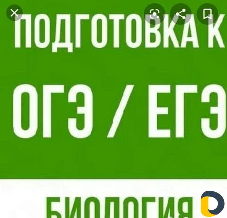 Репетитор по биологии