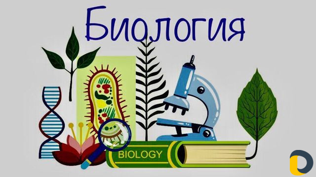 Репетитор по биологии