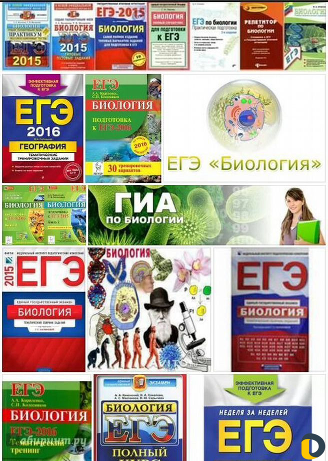 Репетитор по биологии